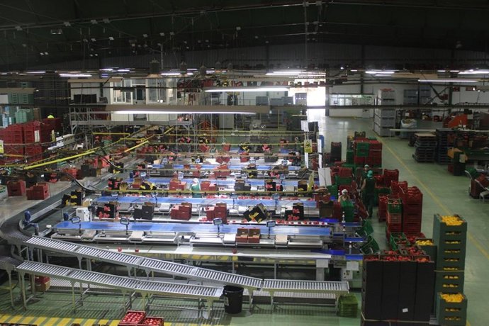 Manipulación hortofrutícola.