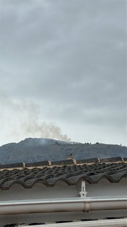 Incendio en Lanjarón del pasado 3 de enero.