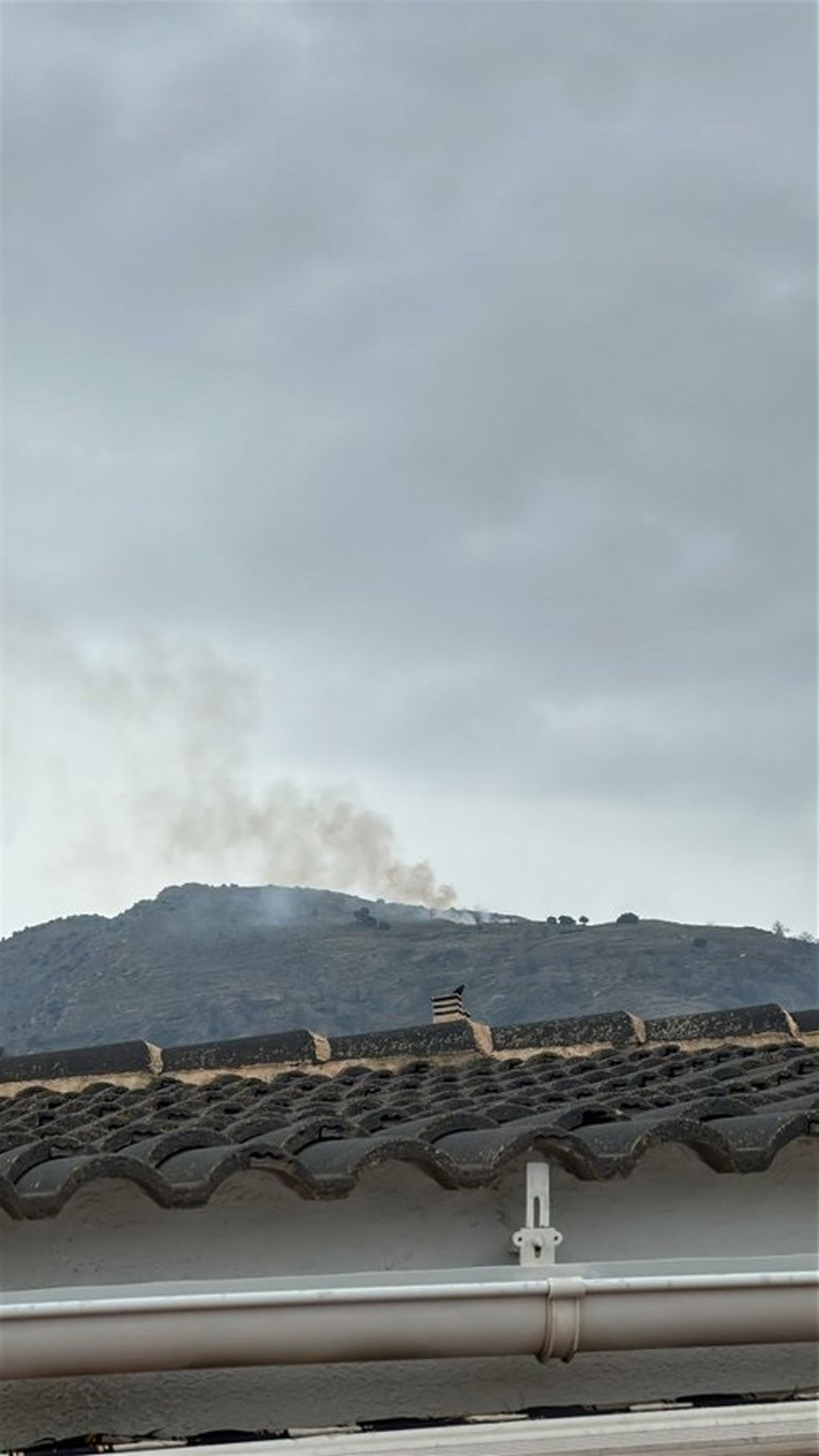 Incendio en Lanjarón del pasado 3 de enero.