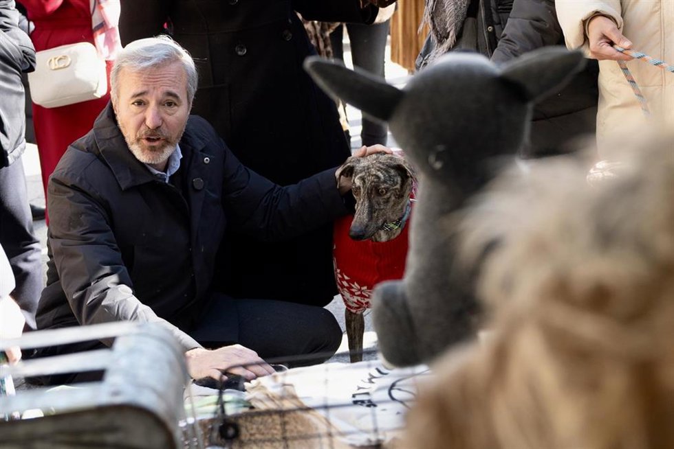 El presidente del Gobierno de Aragón, Jorge Azcón, apoya la campaña de concienciación para la adopción de animales del Centro Municipal de Protección Animal de Zaragoza.