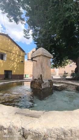 Piña bicentenaria de Collados