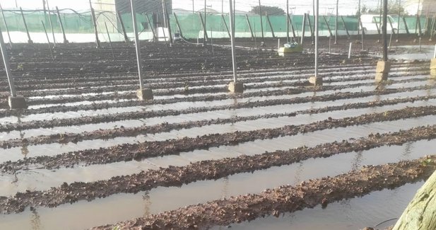 EpAgro - Agricultura