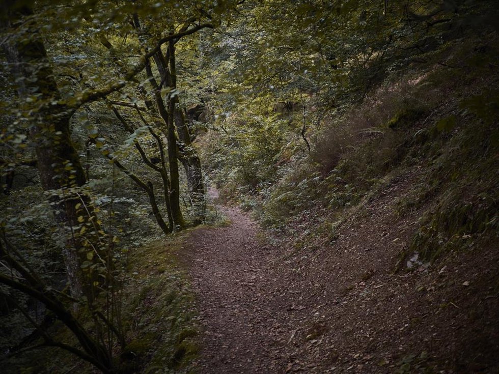 Archivo - Paisajes del Valle del Baztán en Navarra.