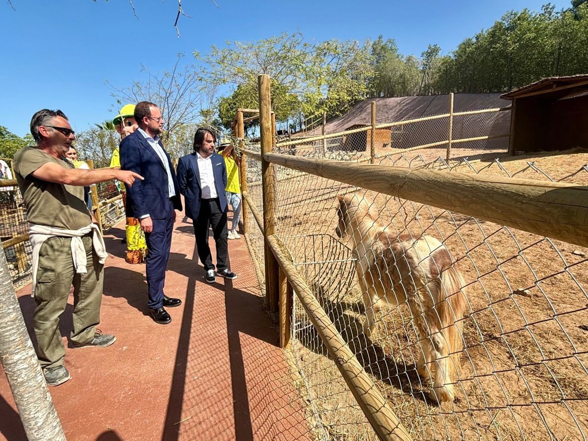 El parque zoológico municipal Terra Natura renueva su distintivo SICTED de calidad turística para 2026