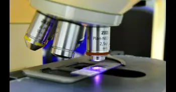 Descubren cómo calcular la energía mínima que gastan las células para mantener ciertas vías metabólicas