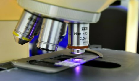 notibrasil sociedade