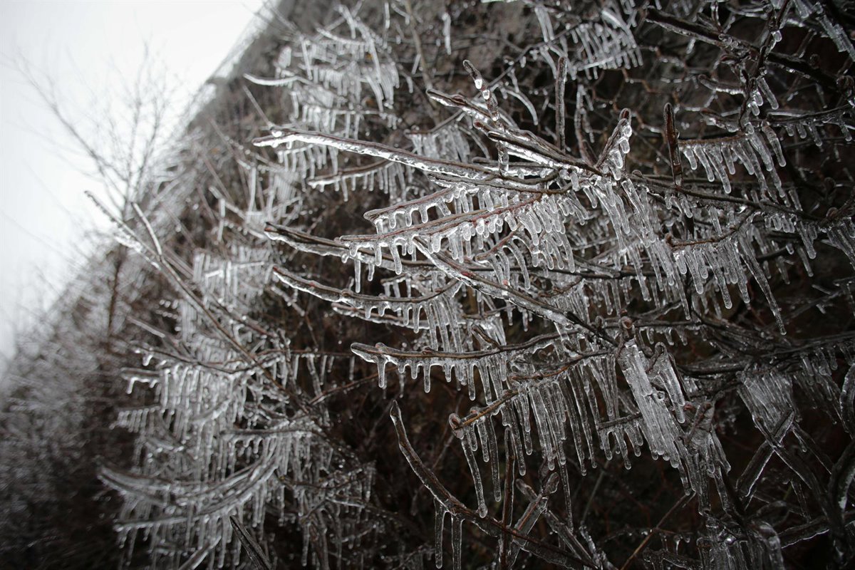 Lalín (Pontevedra) registra la temperatura mínima de Galicia este martes con -3.1 ºC