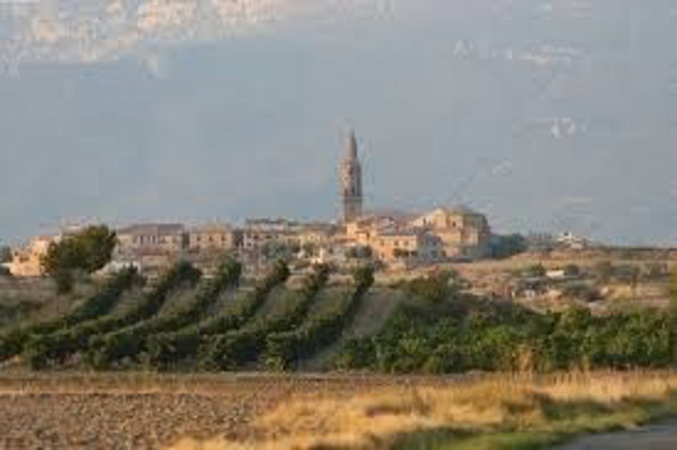 Archivo - Vista de Briones