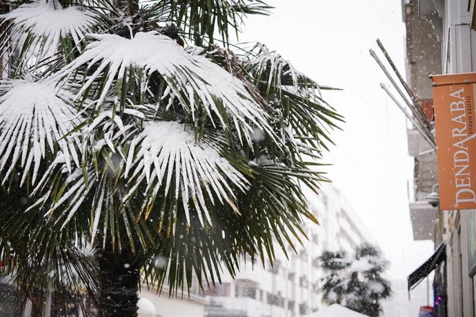 Archivo - Vegetación cubierta de nieve tras la intensa nevada caída en Vitoria-Gasteiz