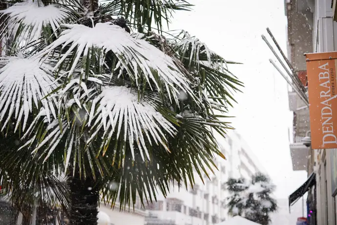 Vegetación cubierta de nieve tras la intensa nevada en Vitoria-Gasteiz