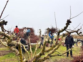 Foto: COFRADÍA SAN ANTÓN DE RINCÓN DE SOTO