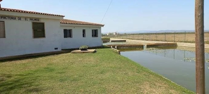 La Generalitat refuerza las infraestructuras del Centro Acuícola de El Palmar para prevenir daños ante futuros episodios