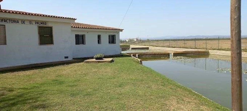 La Generalitat refuerza las infraestructuras del Centro Acuícola de El Palmar para prevenir daños ante futuros episodios
