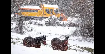Cerrada al tráfico una carretera en CyL por la nieve y otras ocho hacen necesario el uso de cadenas