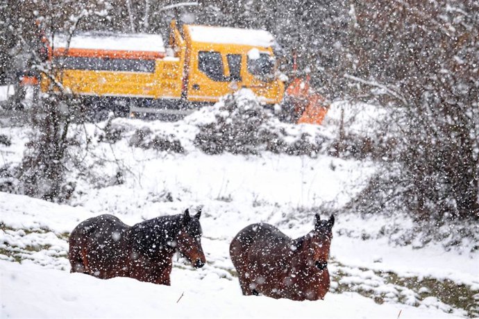 Archivo - Temporal de nieve en CyL.