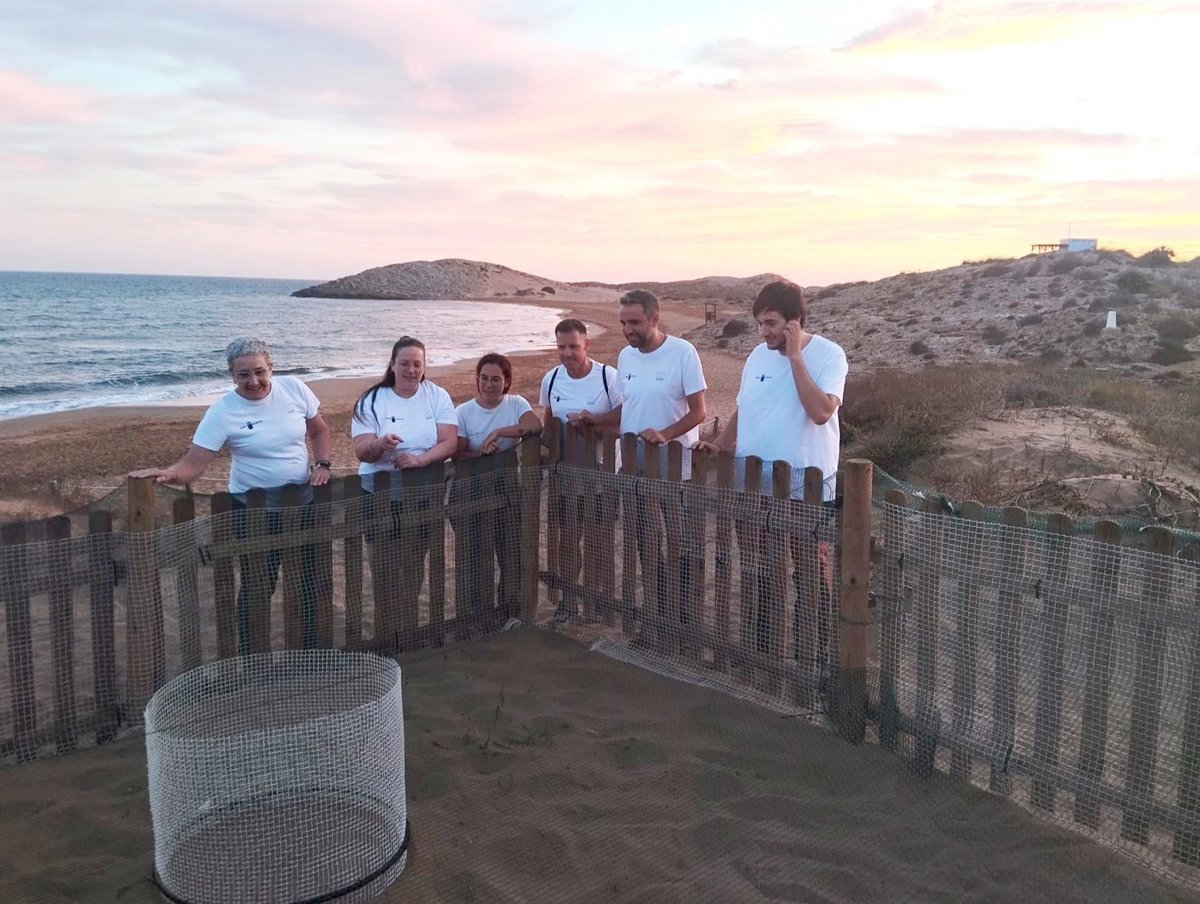 El Gobierno regional destaca la labor esencial del voluntariado en la conservación de la tortuga boba