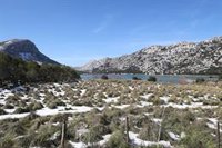 Temporal de frío en Mallorca: parte de la isla registra heladas y Escorca baja hasta los -4ºC
