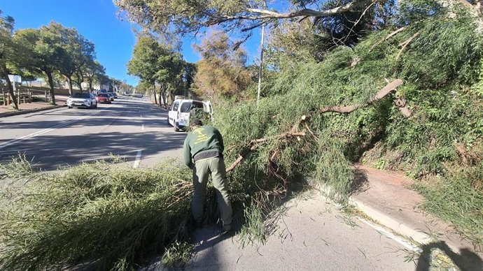 Se tuvo que intervenir en un total de 21 casos, motivados en su mayoría por la caída de árboles y ramas de gran tamaño, paneles publicitarios, vallados e incluso portones de garajes desprendidos en vía pública