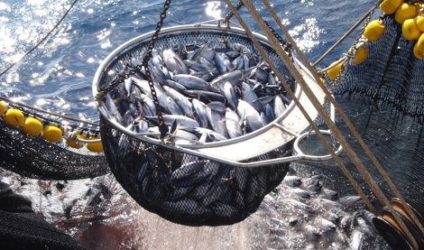 EpAgro - Unión Europea