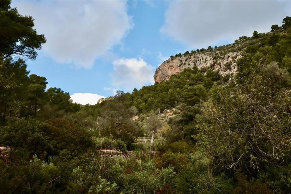 Finca de Sa Bastida, en Alaró, en la Serra de Tramuntana