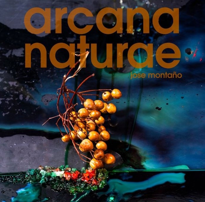 Cartel de la exposición 'Arcana Naturae' de José Montaño.