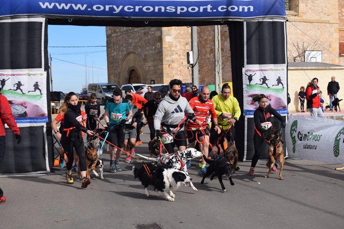 Imagen de una prueba de canicross.