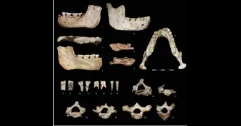 Hallan en Marruecos restos de homínidos de hace 770.000 años que revelan un linaje africano anterior al Homo sapiens