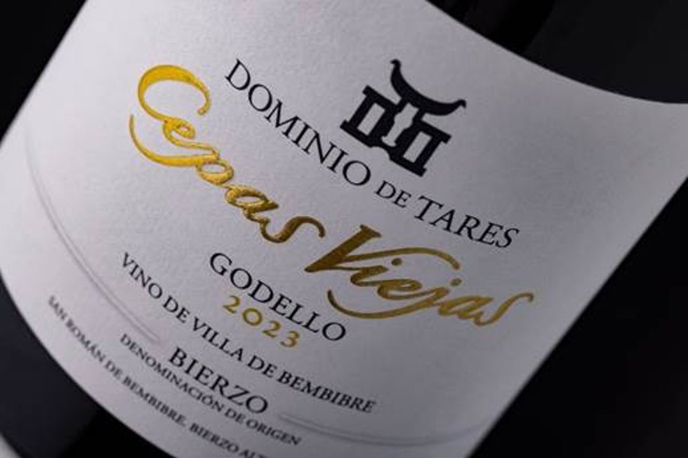Cepas Viejas Godello 2023 ha sido reconocido como mejor vino blanco con barrica en los Premios Aepev.