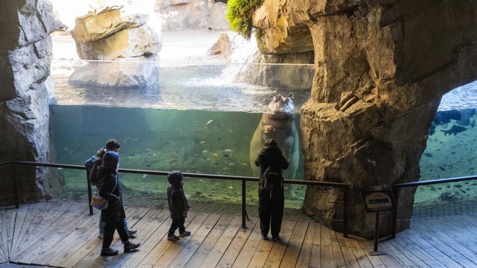 Visitantes en Bioparc