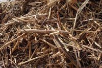 Las últimas borrascas dejan en las playas de la Costa del Sol toneladas de cañas