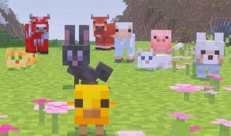 notibrasil sociedade