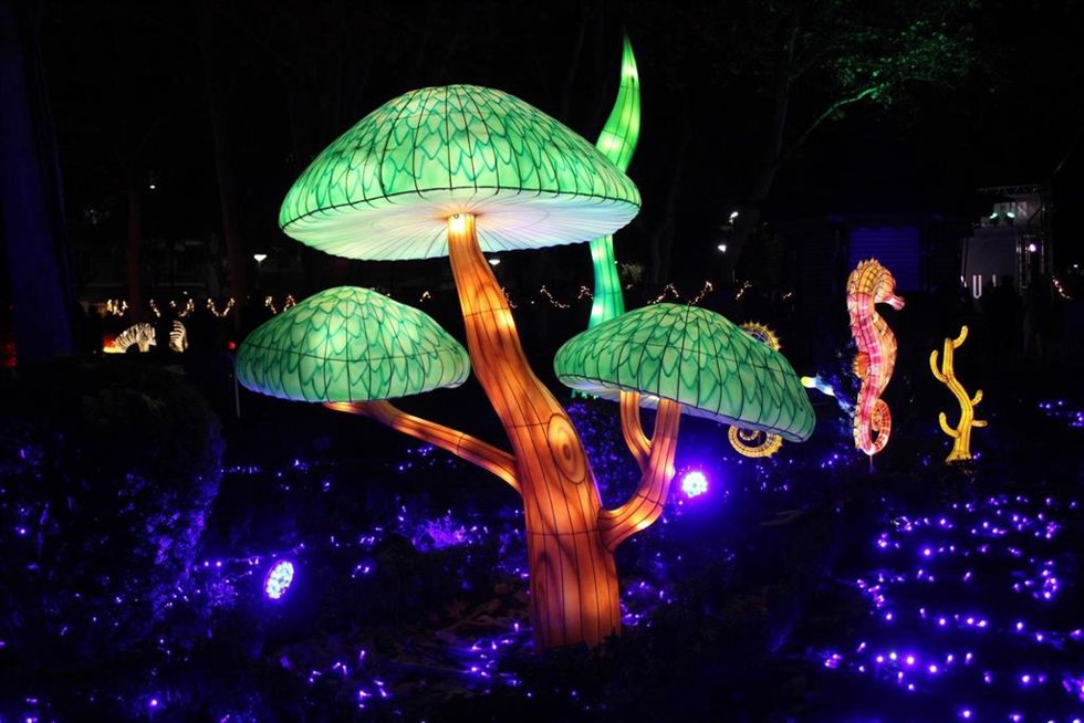 Espectáculo de luz y sonido Lucidum Natura.