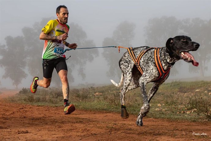 Participante en la Copa de España de Mushing 2026 en Alcalá de Guadaíra (Sevilla).