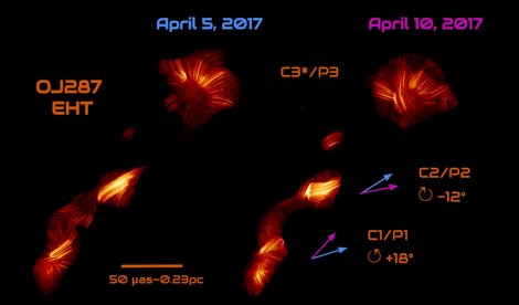 notibrasil sociedade