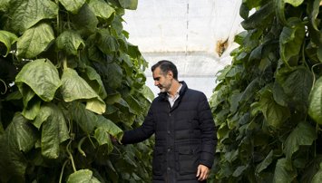 Es  Andalucía - Almería