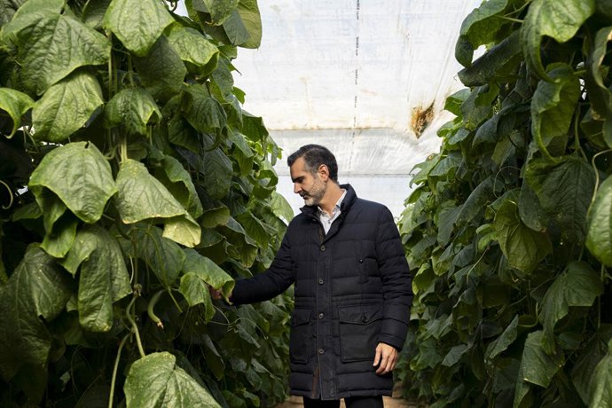 El consejero de Agricultura, Pesca, Agua y Desarrollo Rural, Ramón Fernández-Pacheco, durante su visita a una explotación agrícola de El Ejido (Almería) afectada por la dana de 2024.