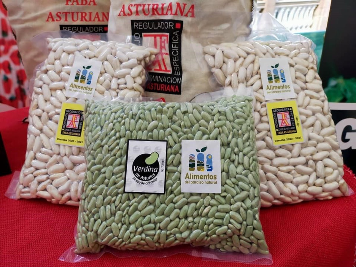 Gerardo Nieto (Campoastur), elegido presidente de la Gestora del Consejo Regulador de la IGP Faba Asturiana