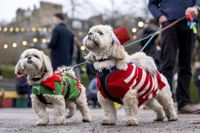 Archivo - 07 December 2025, United Kingdom, Edinburgh: Dogs in festive outfits and their owners take part in the 'Santa Paws' Christmas event in Princes Street Gardens, to raise funds and awareness for the Edinburgh Dog and Cat Home charity. Photo: Jane B