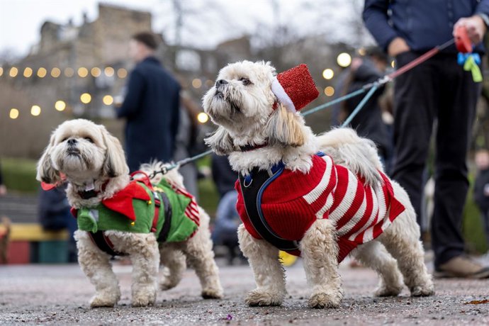 Archivo - Arquivo - 07 de dezembro de 2025, Reino Unido, Edimburgo: Cães com roupas festivas e seus donos participam do evento natalino “Santa Paws” no Princes Street Gardens, para arrecadar fundos e conscientizar as pessoas sobre a instituição de caridad