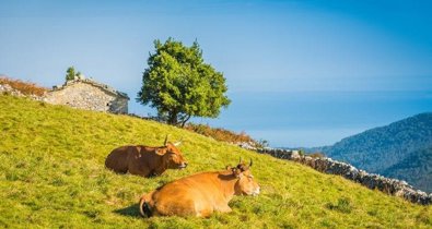 Asturias Rural