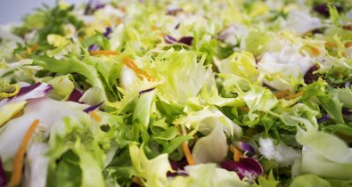 EpAgro - Agricultura