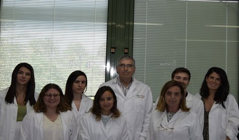 Es Andalucía - Sevilla