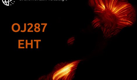 notibrasil sociedade