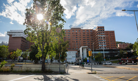 notibrasil sociedade