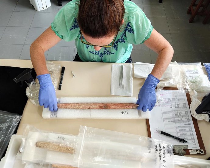 La investigadora del ICTA-UAB Krista McGrath analiza uno de los harpones