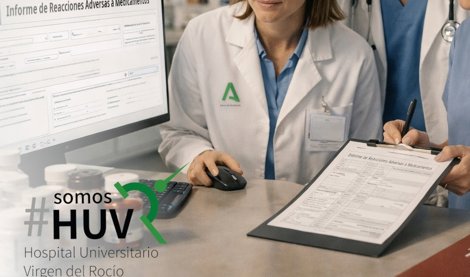 notibrasil sociedade