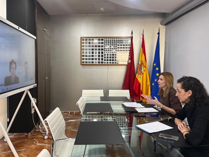 La consejera de Empresa, Empleo y Economía Social, Marisa López Aragón, junto con la secretaria general de la Consejería, Ana Losantos, durante el encuentro telemático