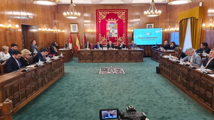 El Pleno de la Diputación, reunido este viernes