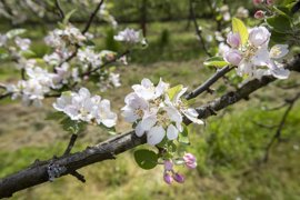 Foto: Jorge Peteiro - Europa Press - Archivo