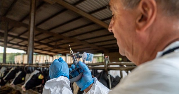 EpAgro - Agricultura